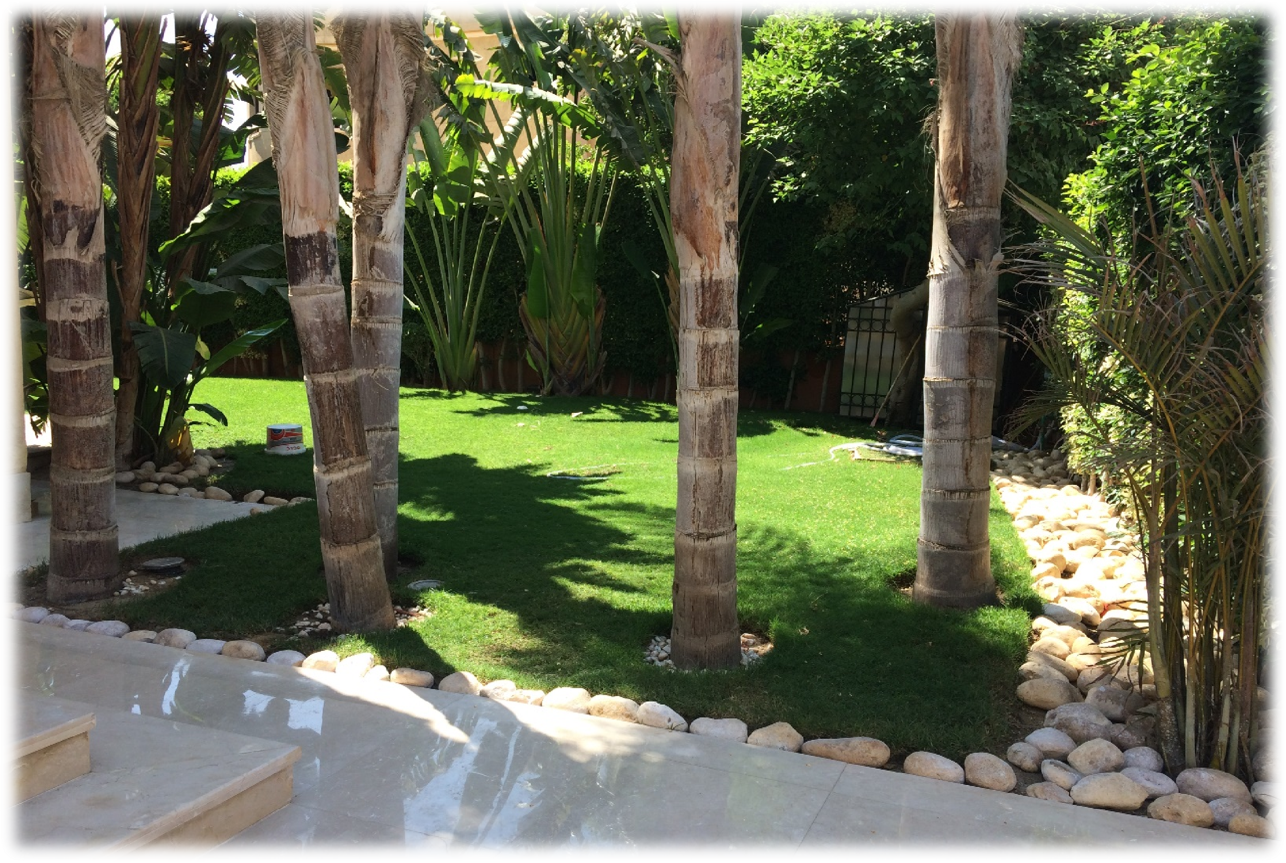 Private villas and backyards landscaping